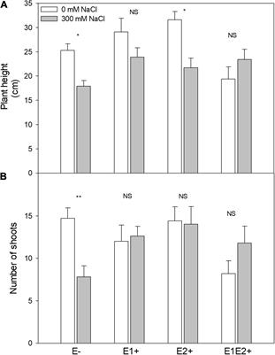 Synergistic Association With Root Endophytic Fungi Improves Morpho-Physiological and Biochemical Responses of Chenopodium quinoa to Salt Stress